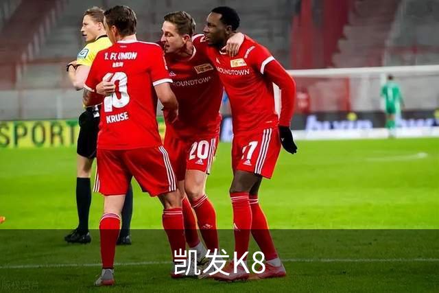 凯发K8公司介绍